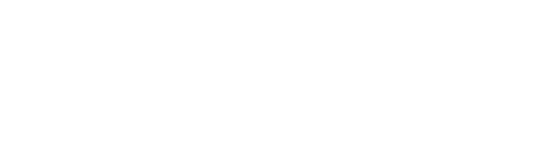 DNS logo